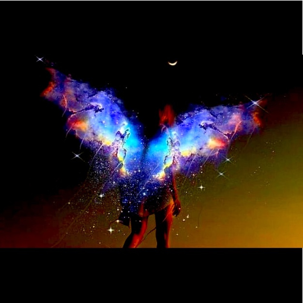 Meet your Posher, Kia